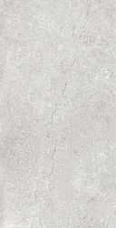 Fakhar Brooklyn Light Gray Серый Матовый Керамогранит 60х120 см