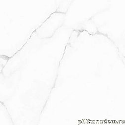 Alma Ceramica Carrara GFU04CRR00R Керамогранит 60х60