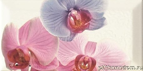 Monopole Bisel Decor Orchidea 1 Декор 10x20