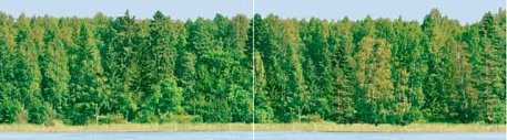 CeraDim Forest Panno Панно (из 2-х шт) 25х90 см