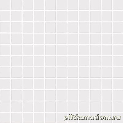 Tubadzin Colour MS White Мозаика 30x30