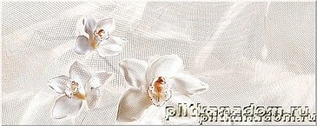 Azori Agat Beige Orchid Декор 20,1х50,5