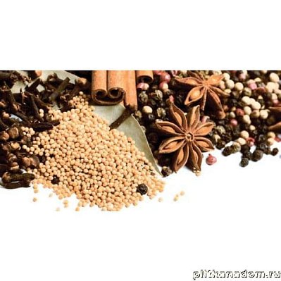Lasselsberger-Ceramics Spices 1641-8616 Декор Spices-2 19,8х39,8