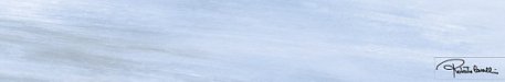 Roberto Cavalli Tanduk OCEANBLU LAPP RETT FIRMA Декор 20x120 см