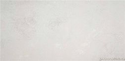 Stylnul (STN Ceramica) Talent Pearl Mt Rect Серый Матовый Ректифицированный Керамогранит 59,5х120 см