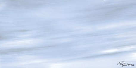 Roberto Cavalli Tanduk OCEANBLU RETT FIRMA Декор 60x120 см