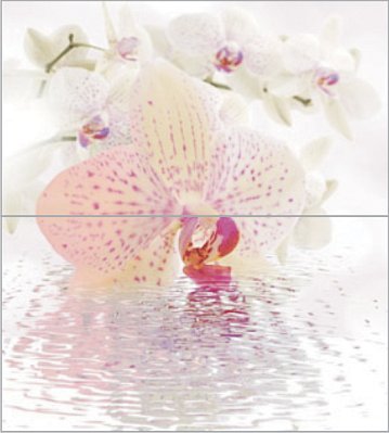 CeraDim Orchid Panno Декор настенный Панно из 2-х шт 50х45 см