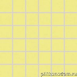 Rako Tendence WDM06057 Мозаика (5x5) 30x30 см