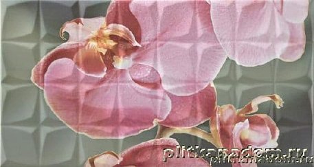 Rocersa Glamour Dec. Orchid B Rosa RSA Декор 31,6x59,34