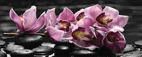 Mosplitka Lana Декор Спа Орхидея 2 20х50