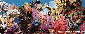 CeraDim Ocean Reef 1 Декор 20x50 см