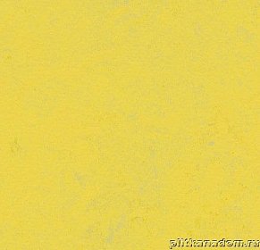 Forbo Marmoleum Concrete 3741-374135 yellow glow Линолеум натуральный 2,5 мм