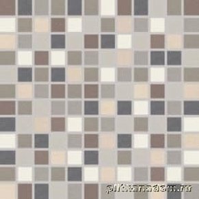 Rako Trend DDM0U001 Multicolored Мозаика 2,5x2,5 30х30 см
