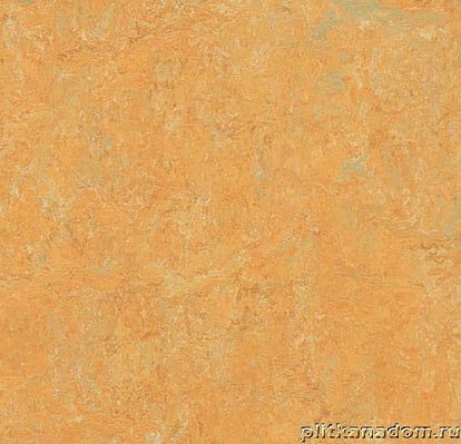 Forbo Marmoleum Fresco 3847 golden saffron Линолеум натуральный 2 мм