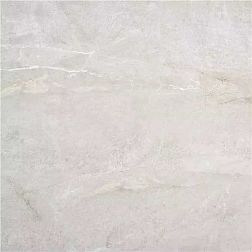 Stylnul (STN Ceramica) Eastriver Pearl Серый Матовый Ректифицированный Керамогранит 60х60 см