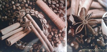 Lasselsberger-Ceramics Vanilla Cofe 1641-8605 Декор-1 19,8х39,8