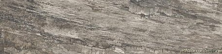 Emil Ceramica Petrified Tree Grey Bark Nat Rett Керамогранит 22,5x90