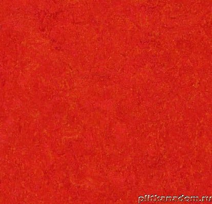 Forbo Marmoleum Real 3131 scarlet Линолеум натуральный 2 мм