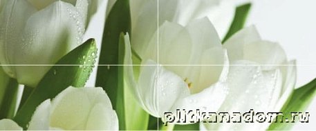 Polcolorit Arco Digital Tulipany Панно (из 4-х штук) 50x120