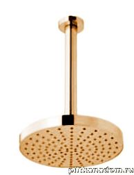 Webert Shower Set AC0940010METAL Верхний душ с кронштейном, стальной (золото)