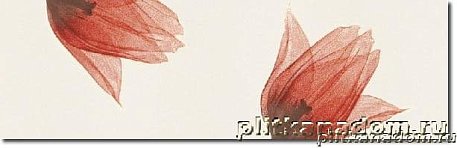 Polcolorit Tango LS Rosso Tulipan B Бордюр 25х8
