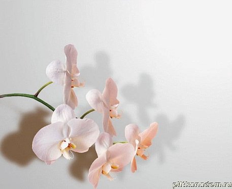3D-Плитка Панно Орхидея 99х68