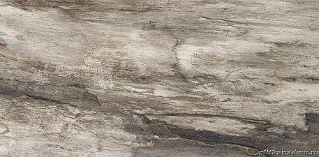 Emil Ceramica Petrified Tree Grey Bark Nat Rett Керамогранит 45x90