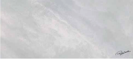 Roberto Cavalli Brightpearl Snow Firma Rett Декор 80х180 см