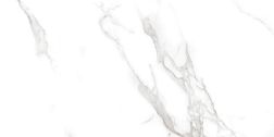 Neodom Splendida Statuario Irish Grey Polished Белый Полированный Керамогранит 60x120 см