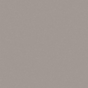 Estima Rainbow Light Grey RW03 Серый Неполированный Ректифицированный Керамогранит 80x80 см