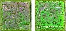 JNJ Iridium NB 20 Стеклянная мозаика на бумаге 2х2 32,7х32,7 см