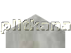 Roberto Cavalli Brightpearl Silver Losanga Half Rett Декор 24x14 см