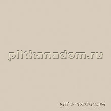 Rako Color One WAA19007 Настенная плитка 15x15 см