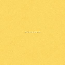 Bardelli Colore&Colore В2 Настенная плитка 20x20 см