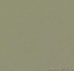Forbo Marmoleum Walton Uni 3355-335535 rosemary green Линолеум натуральный 2,5 мм
