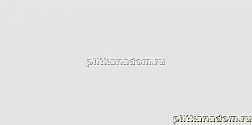 Rako Concept Plus WAAMB012 Wall tile Настенная плитка 20x40 см
