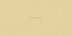 Neodom Design Colors N12037 Blossom Sun Matt Керамогранит 60x120 см