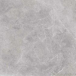 Cerrad Nowa Gala Silver Grey CNGSIL05 Напольная плитка 59.7x59.7 см