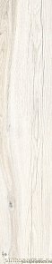 RHS Ceramiche (Rondine group) Daring Ivory Бежевый Натуральный Керамогранит 24х120 см