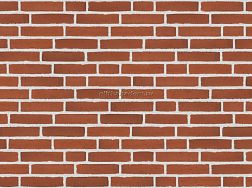 Randers Tegl Classica Rot Handstrichziegel RT 307 DNF Кирпич ручной формовки 22,8х2х5,4 см