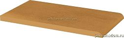 Paradyz Aquarius Brown Parapet 24,5x13,5x1,1 см
