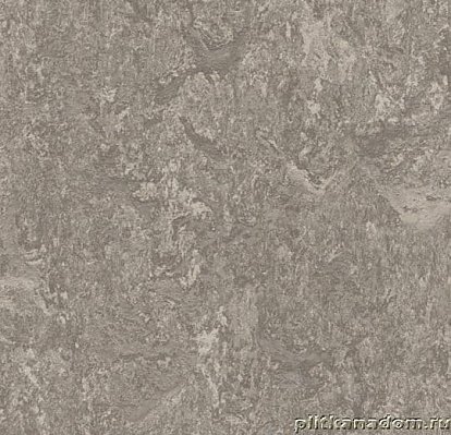 Forbo Marmoleum Real 3146 serene grey Линолеум натуральный 2,5 мм