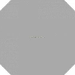 Absolut Keramika Element Octo Gris Серый Матовый Керамогранит 25x25 см