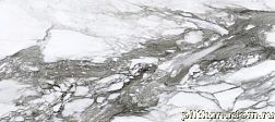 Roberto Cavalli Lush Calacatta Renior Lux Серый Полированный Керамогранит 59,4x119 см