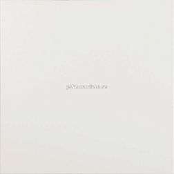 Ceracasa D-Color White Керамогранит 40,2x40,2 см