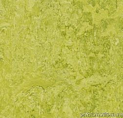 Forbo Marmoleum Decibel 322435 chartreuse Линолеум натуральный 3,5 мм