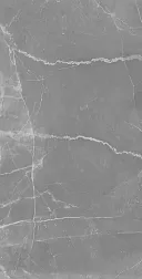 Arcadia Ceramica Керамогранит CERASA GREY 60x120 RT