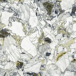 Atlas Concorde Russia Forte del Marmi Quark Ceppo Ap. Forest Lapp (610010002971) Серый Лаппатированный Керамогранит 80x80 см