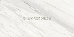 Simpolo Ceramics 1123 glossy Керамогранит 60х120 см