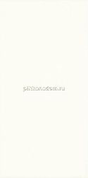 Paradyz Moonlight Bianco Rect Настенная плитка 29,5х59,5 см